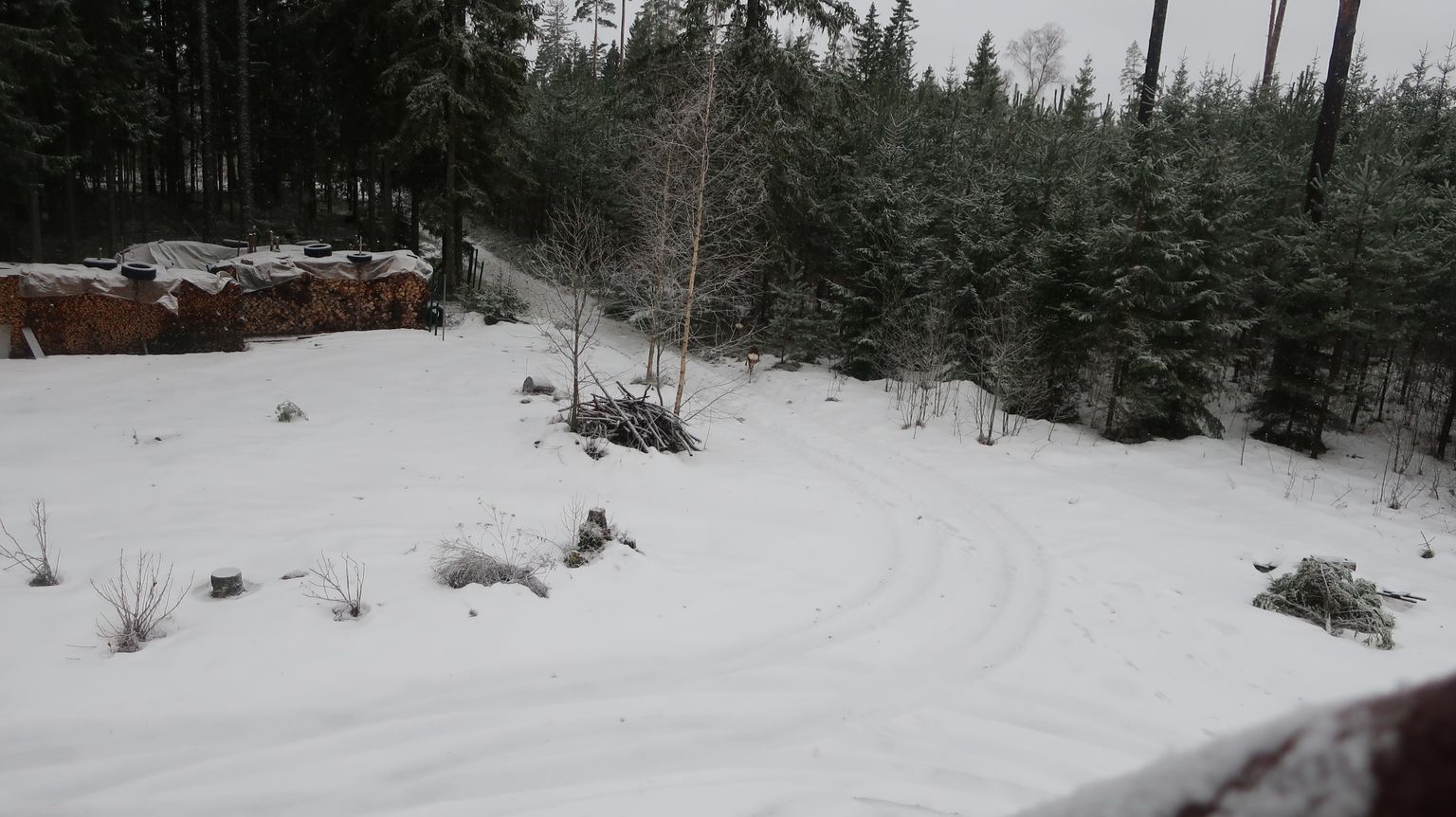 Kõige muutlikum on ilm esmaspäeval.