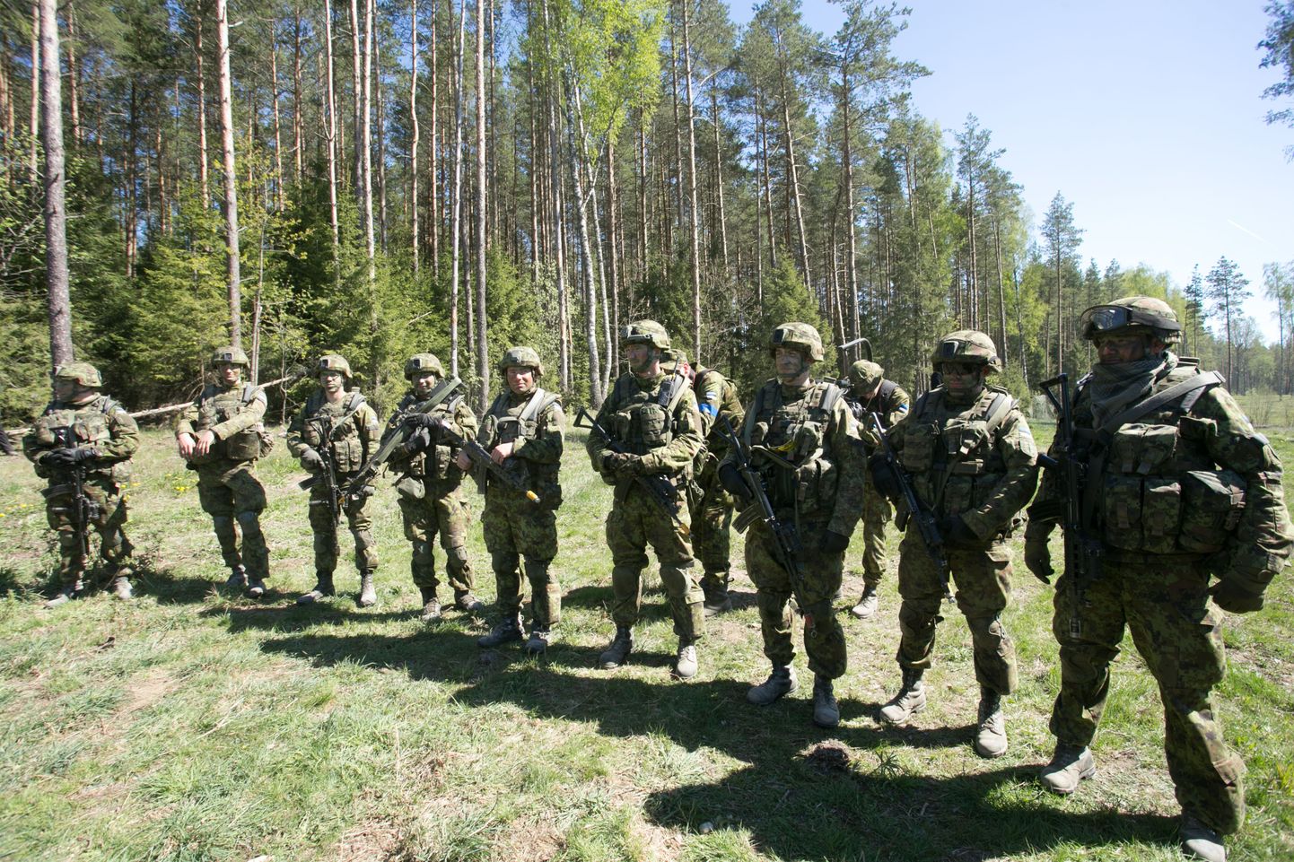 Eesti kaitseväelased