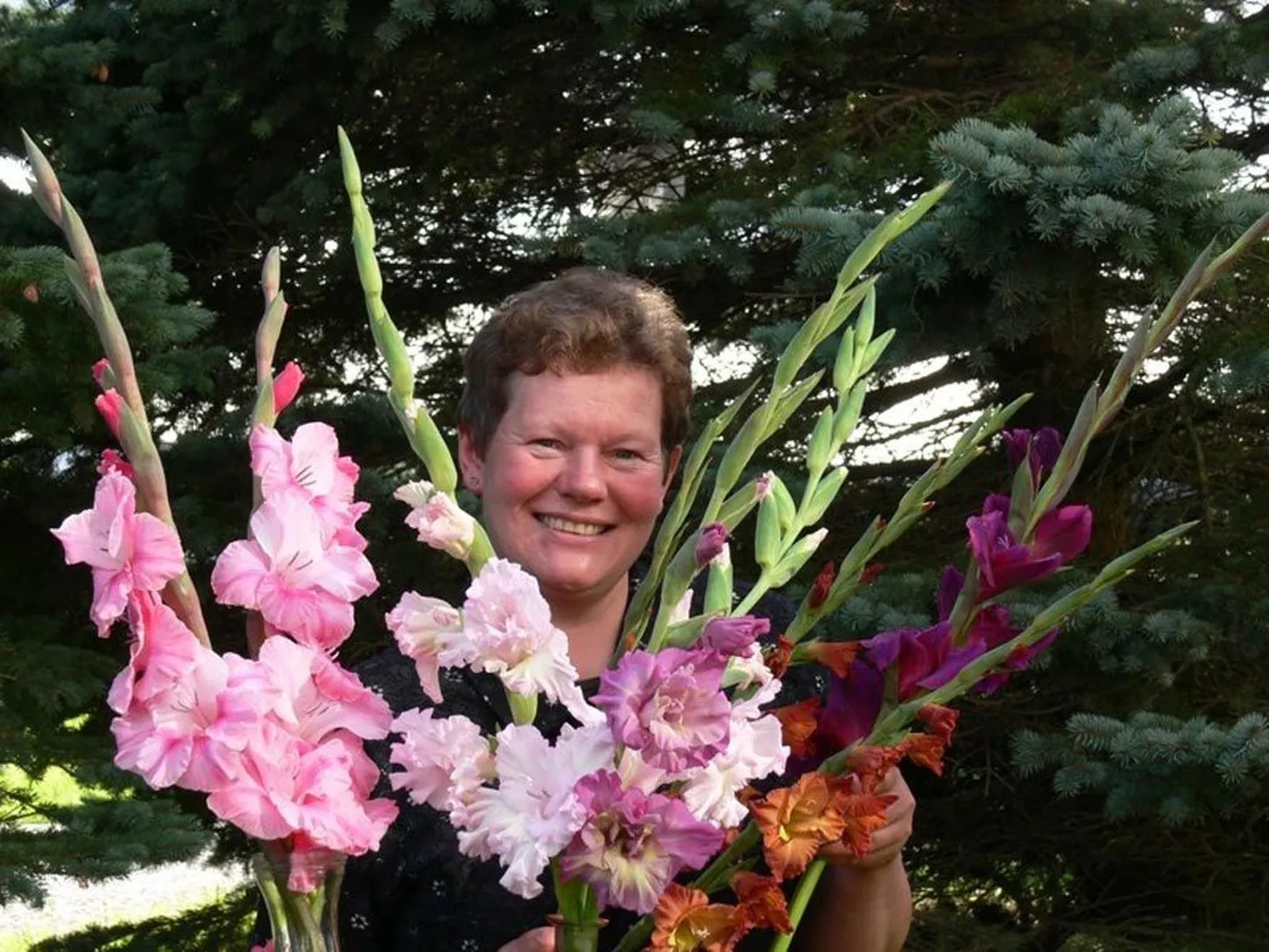 Tiiu Lehiste lilleaias on gladioolide värvivalik suur, nii et pane või kokku vikerkaar.