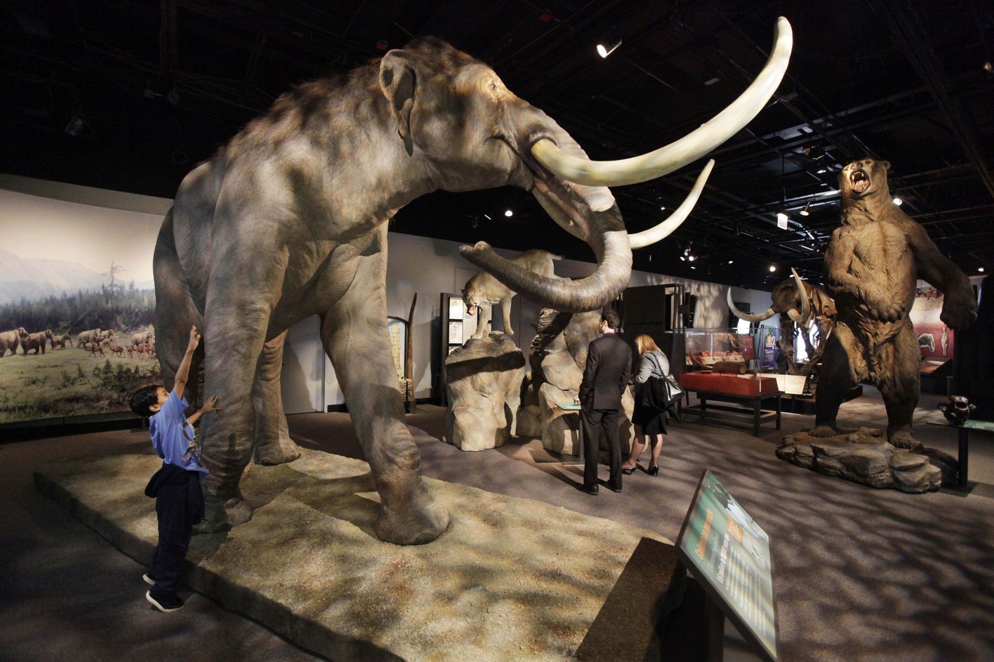 Mammuti rekonstruktsioon Chicago loodusmuuseumis