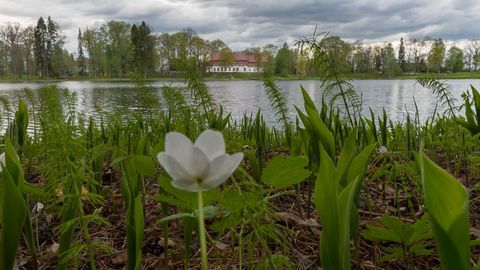 ����: rus.postimees.ee