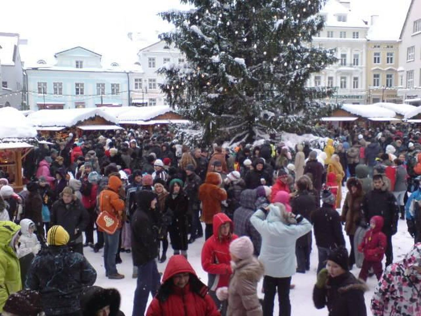 Tallinna jõulukuusk.
