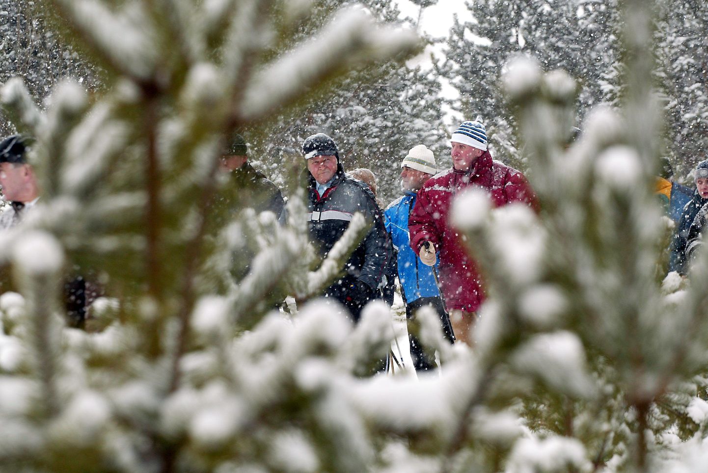 Tervisepäeval valib igaüks talle kõige enam sobiva liikumisviisi. Pildil kepikõnnib lumises metsas Arnold Rüütel.