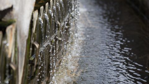 ����: rus.postimees.ee