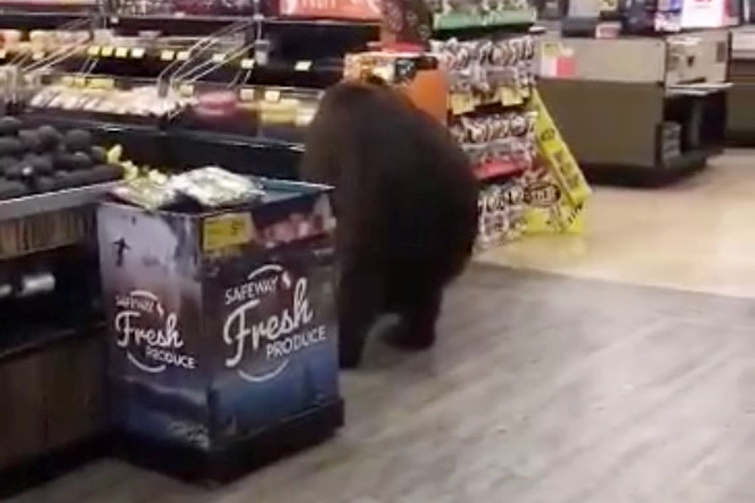 Karu supermarketis.