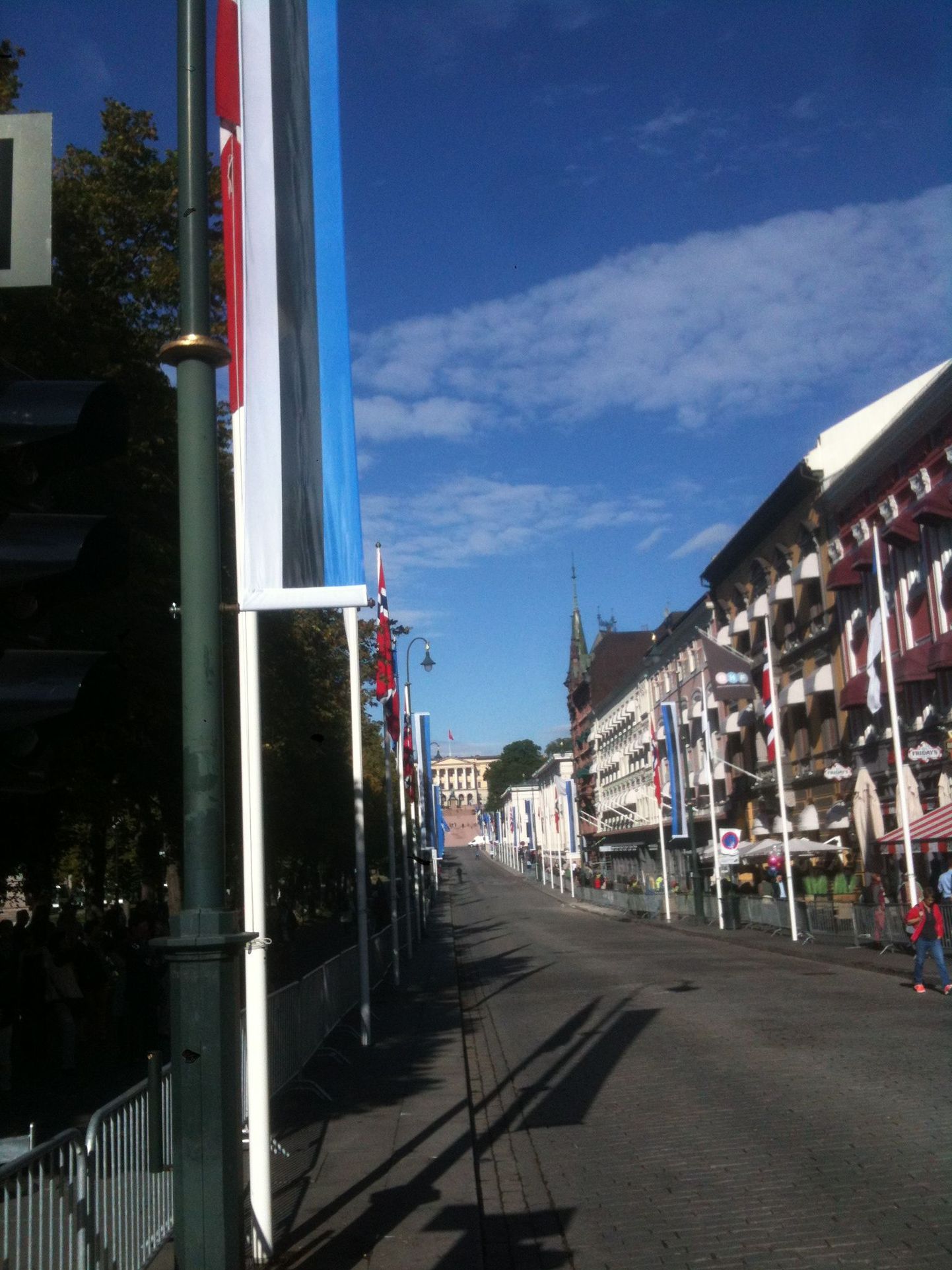 Eesti lipud Oslo tänaval