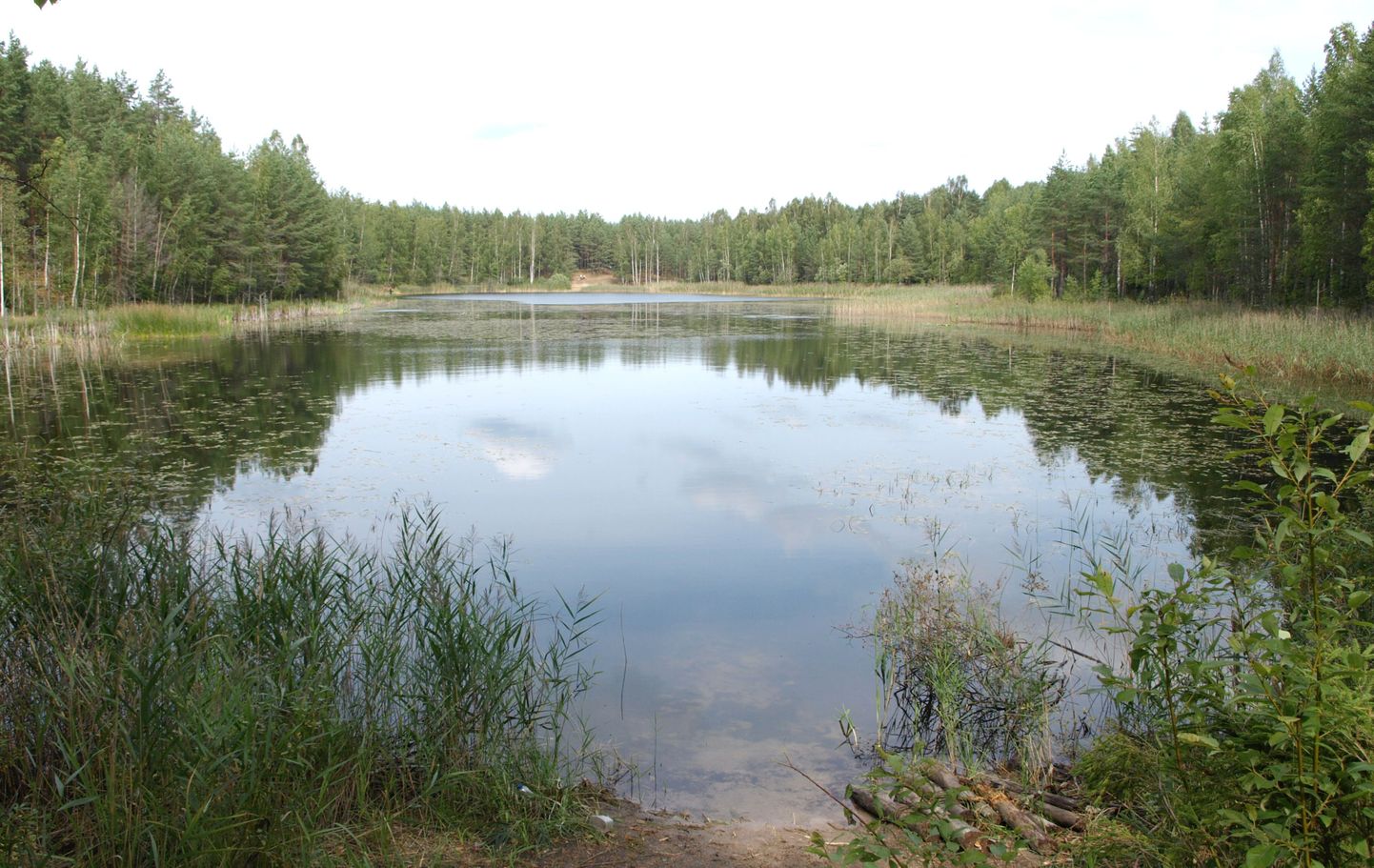 Озеро Мартиска в Куртна.