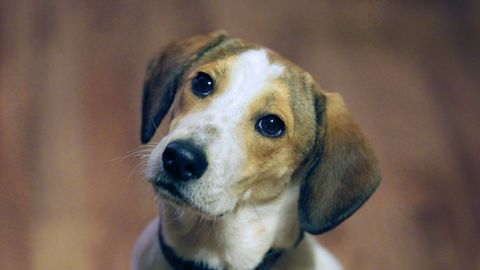 ����: rus.postimees.ee