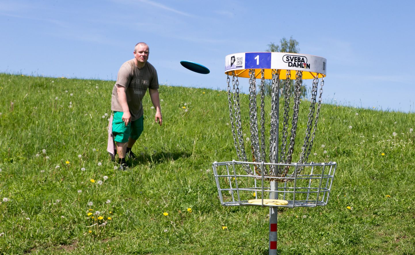 Disc-golf. Foto on illustreeriv.
