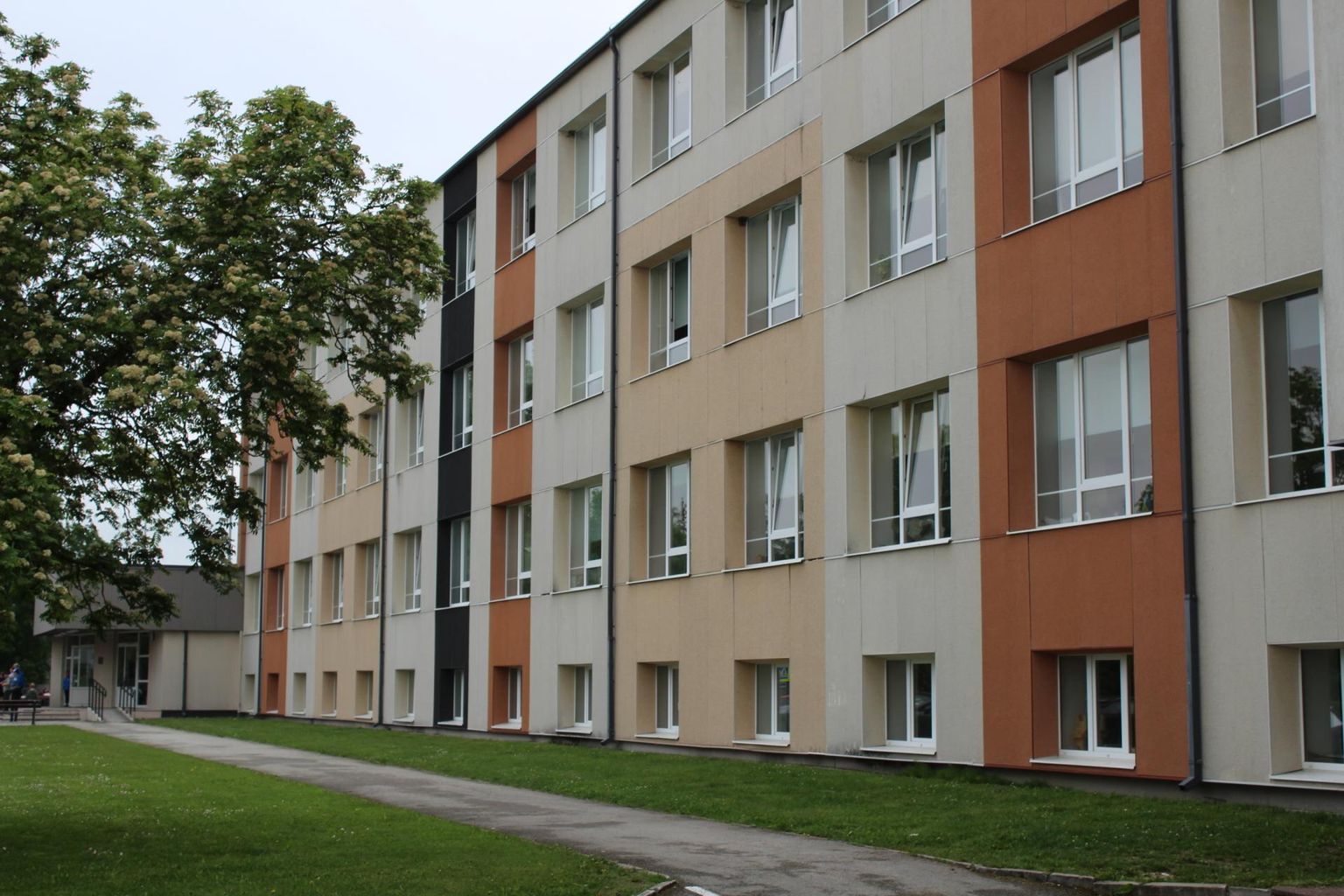 Tapa gümnaasium.