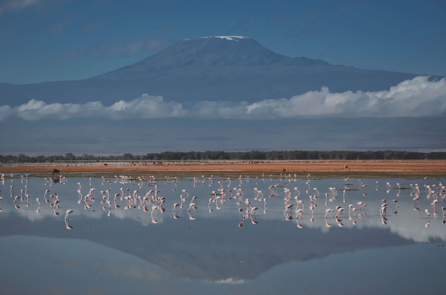 Kilimanjaro mägi. Foto on illustratiivne.