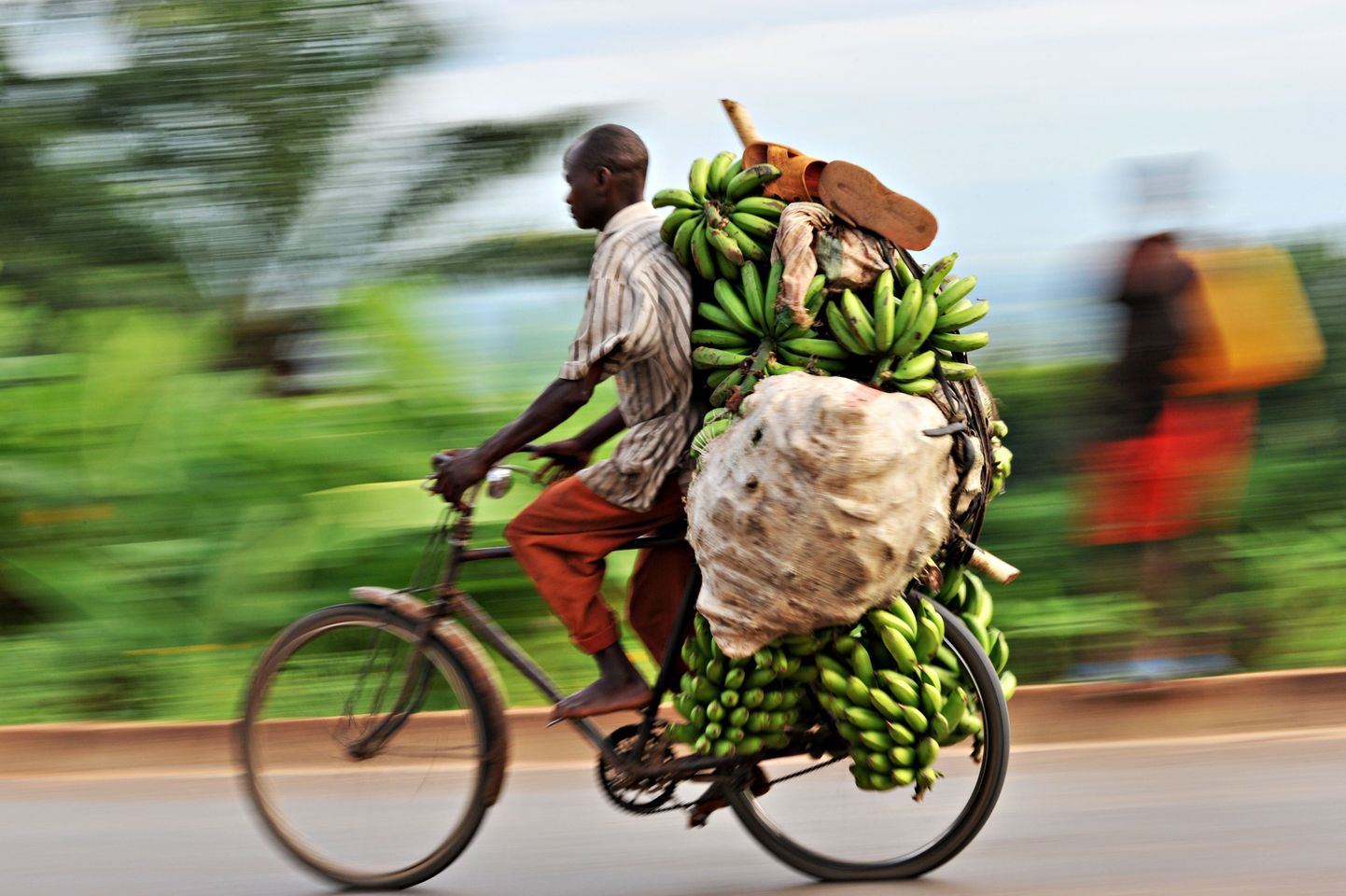 Banaane kokkuostnud mees Mosambiigis.