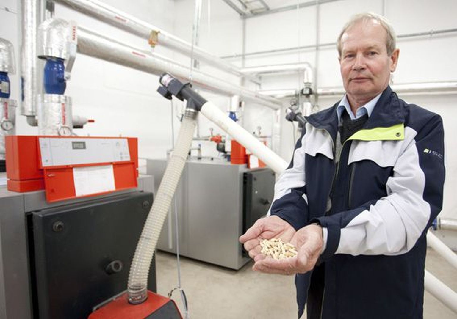ASi Pelletiküte juhatuse esimees Rein Kutsar näitab saepurugraanuleid ehk pelleteid, mida pärast katlamaja ümberehitamist Muuga kooli kütmiseks kasutatakse.