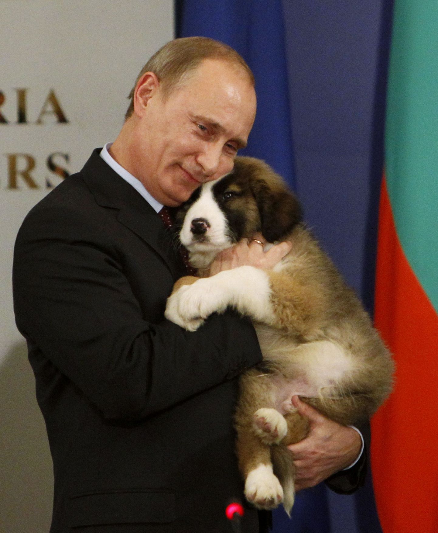 Владимир Путин и его новая собака.