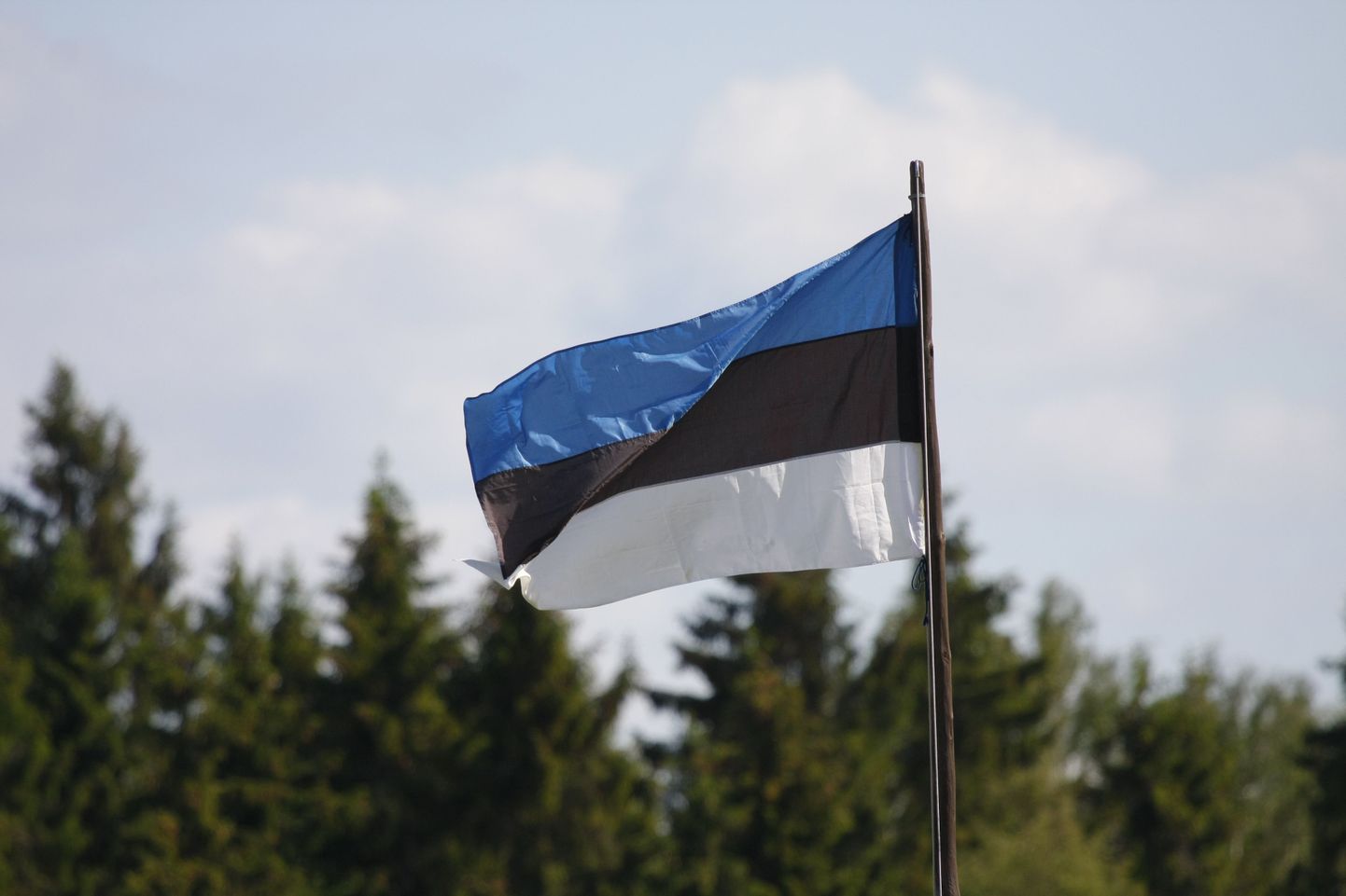 Eesti lipp.