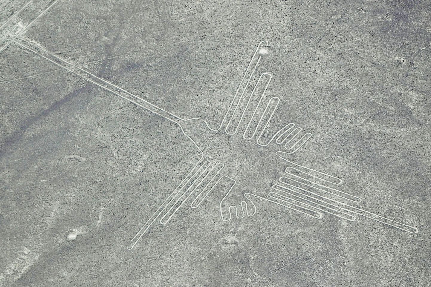 Nazca geoglüüf - koolibri