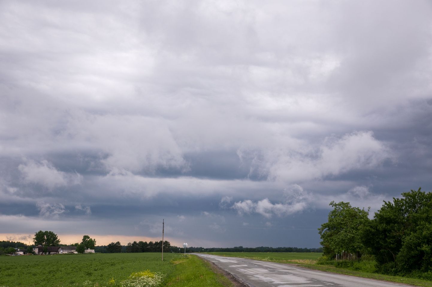 Pühapäevane ilmaprognoos lubab mitmel pool Eestis kostitada tugevate tuulepuhangute, hoovihma ja äikesega.