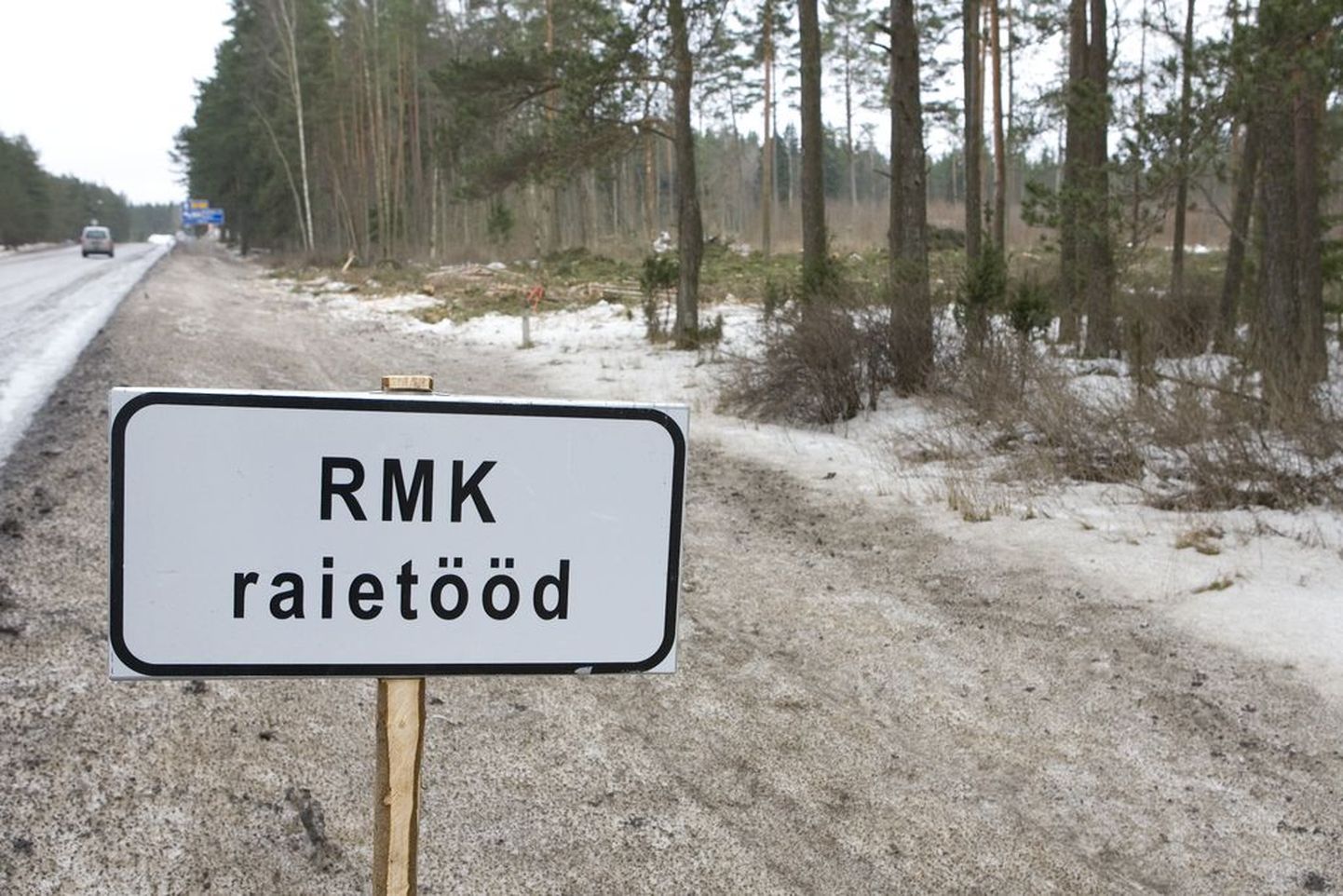 RMK raietööd mullu kevadel Tallinna lähistel..