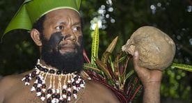 Vaikses ookeanis asuva Vanuatu provintsis keelati lääne rämpstoit