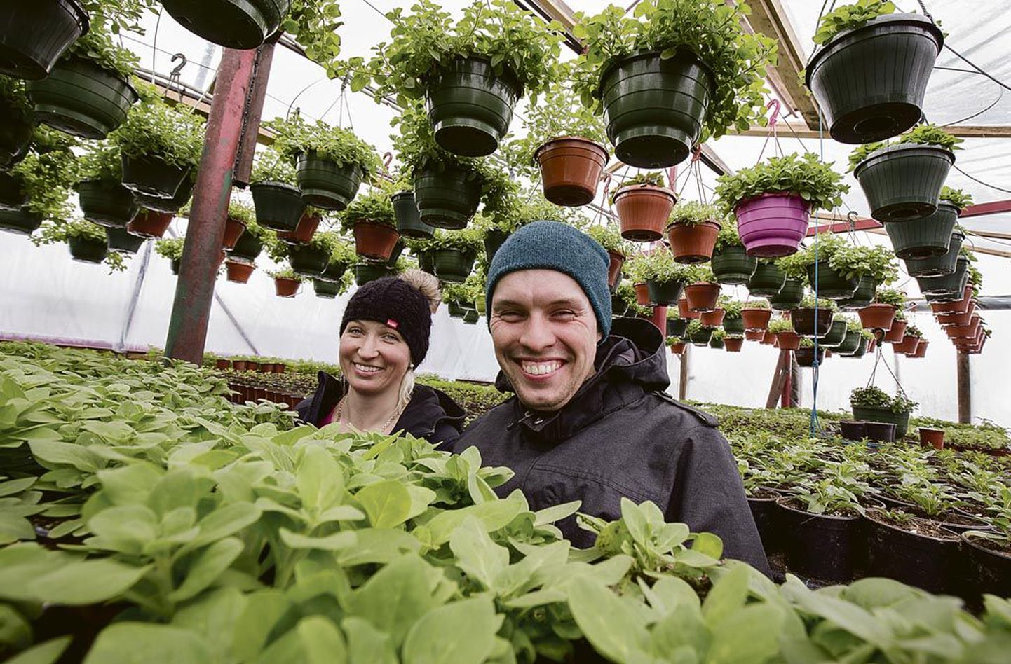 Lillevälja aiandustalu pererahvas, Kristel Sepp ja Margus Kajastu on pühendunud maaelule ja naudivad seda.
