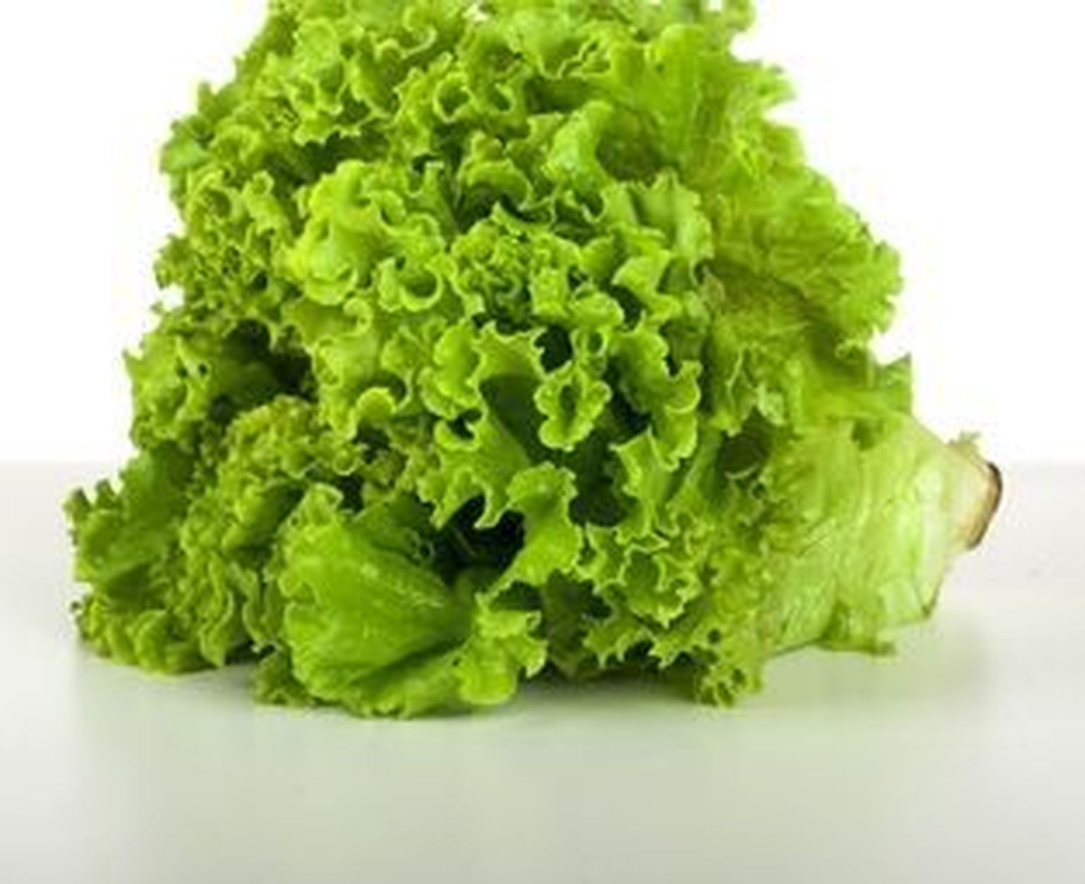 Lehtsalat
