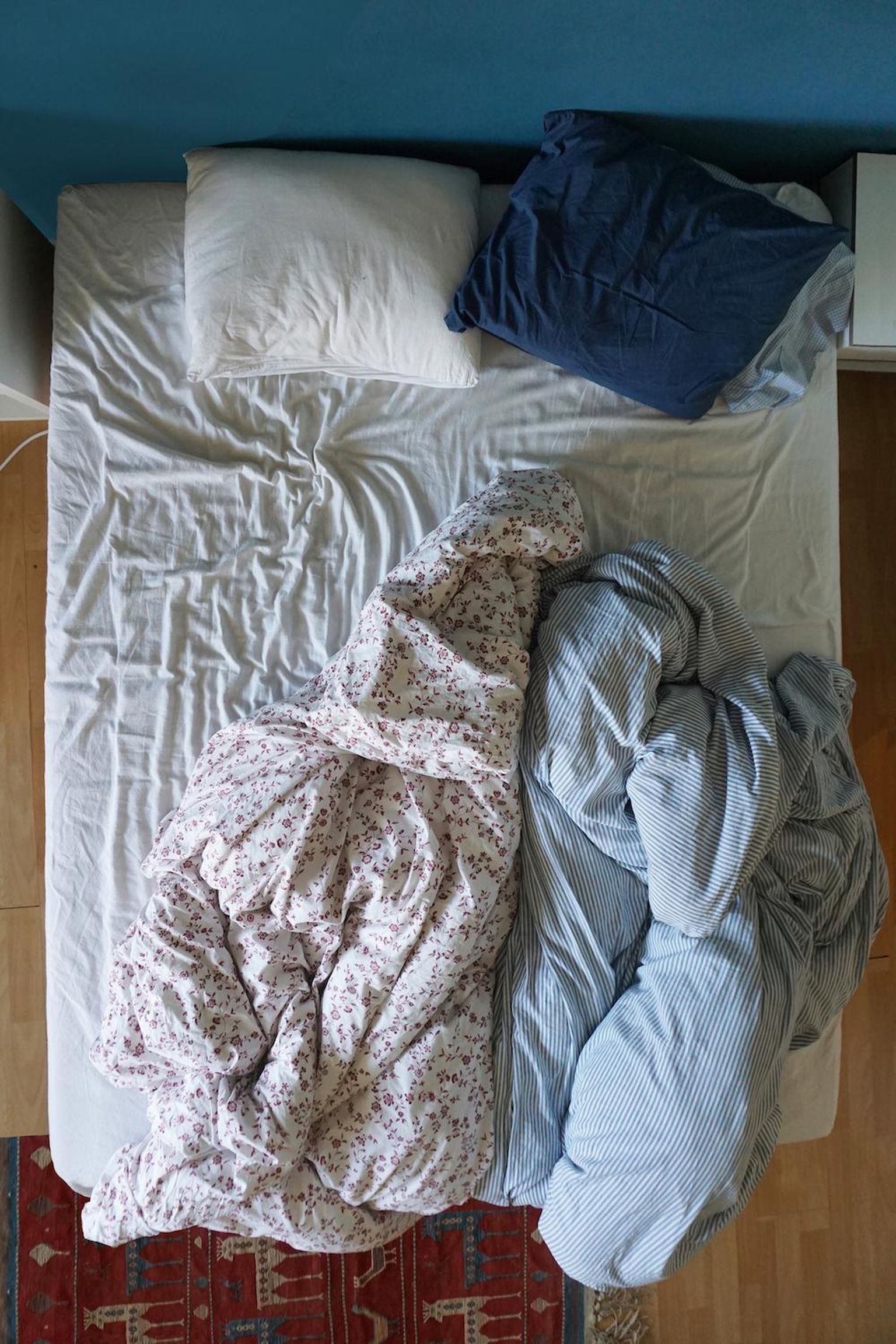 Katariin Mudisti «Nähtamatud kohalolijad».