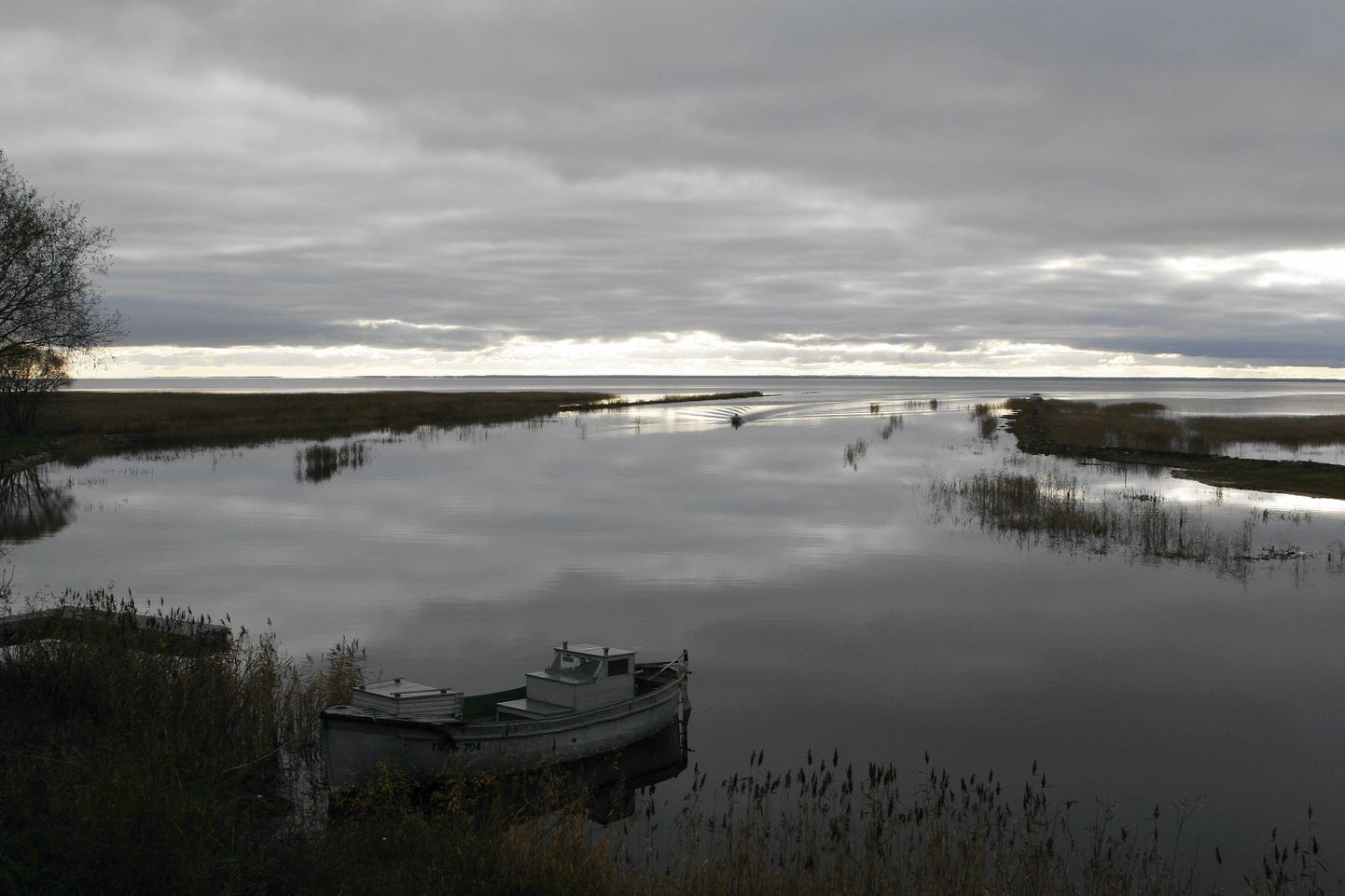 Puidurafineerimistehasele sobilikku asukohta hakatakse otsima Suur-Emajõe jõgikonnast.