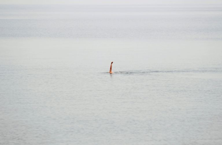 Poola. Mees ujub Gdynias Orlowo rannas. 