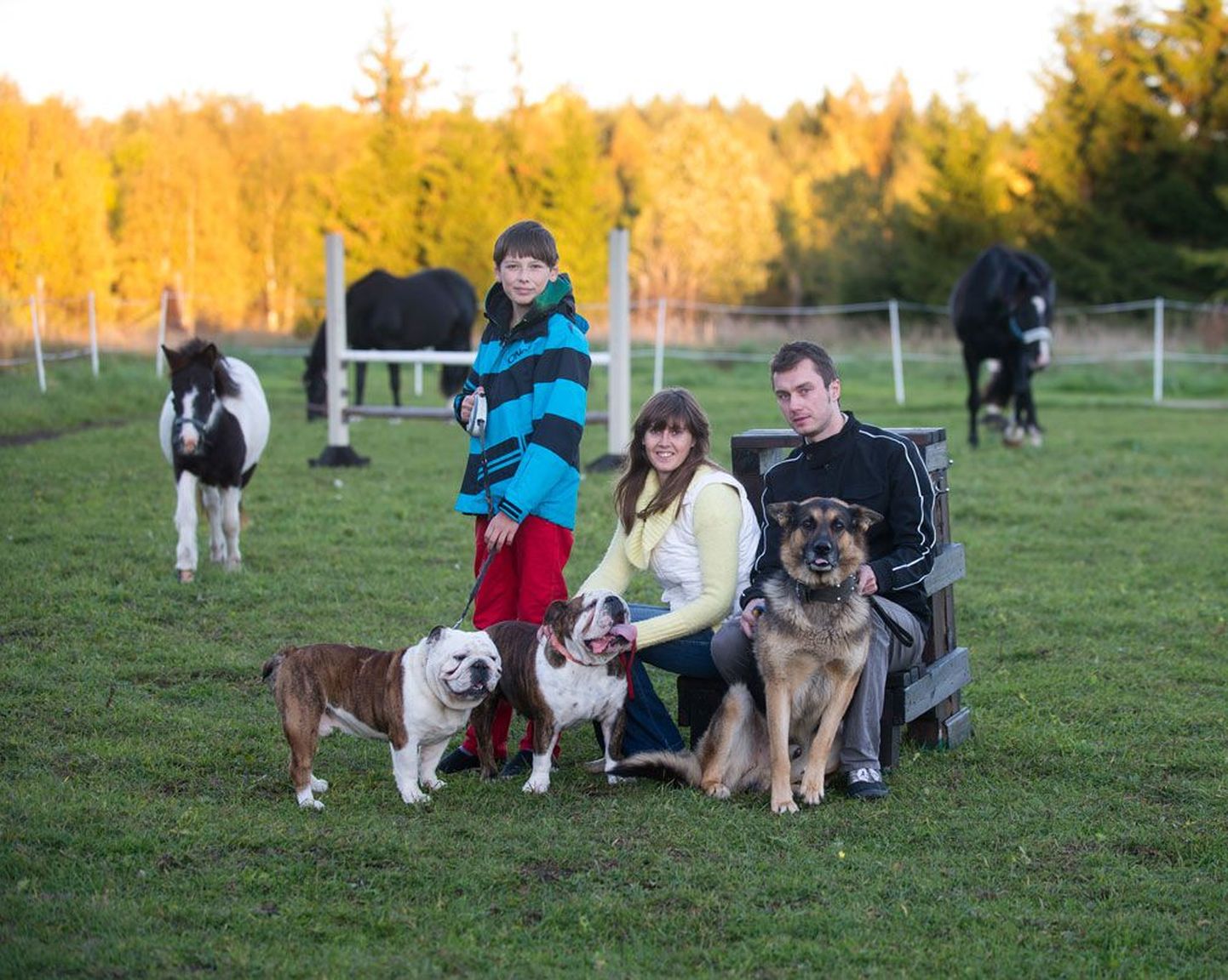 Perepoeg Kevin, Jaanika ja Aleks koos kolme koera ja hobusega, kes kõik on pere lemmikloomad.