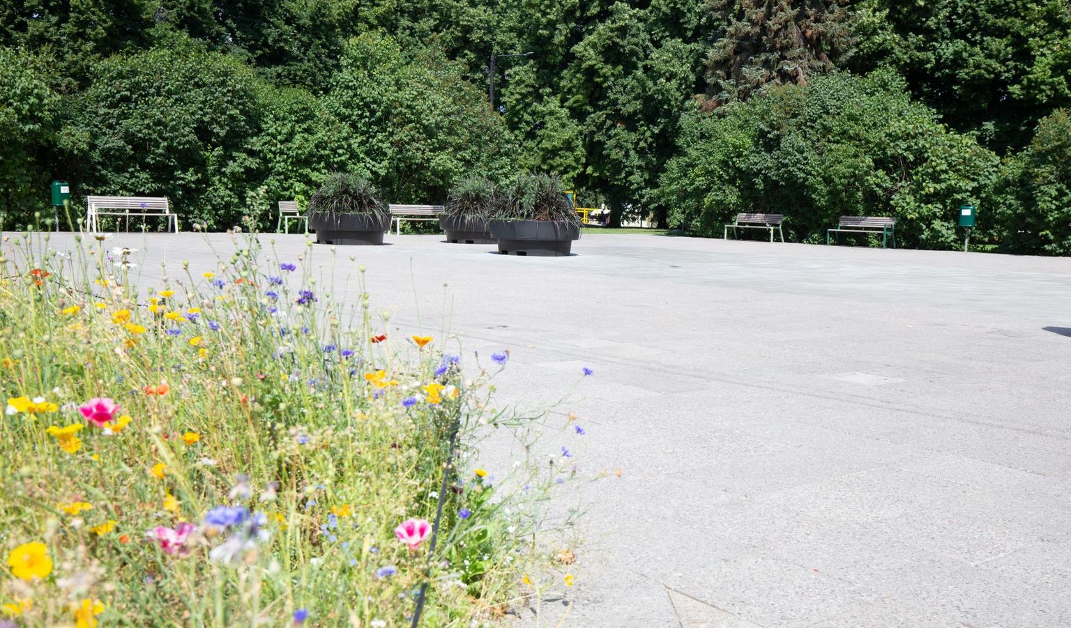 Paviljon on plaanis püsti panna keskpargi sillutatud ossa.