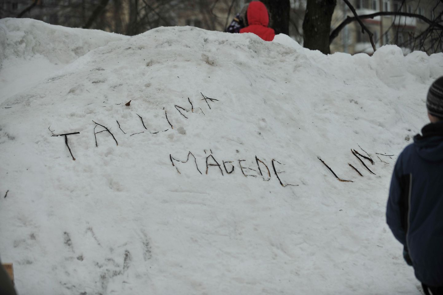Tallinna õpilaste lumeskulptuurid