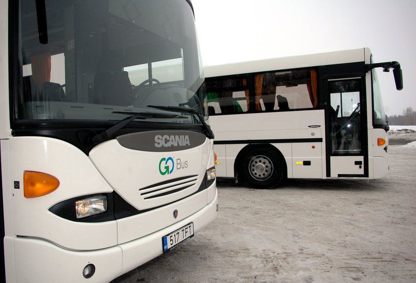 Автобусы фирмы GoBus.