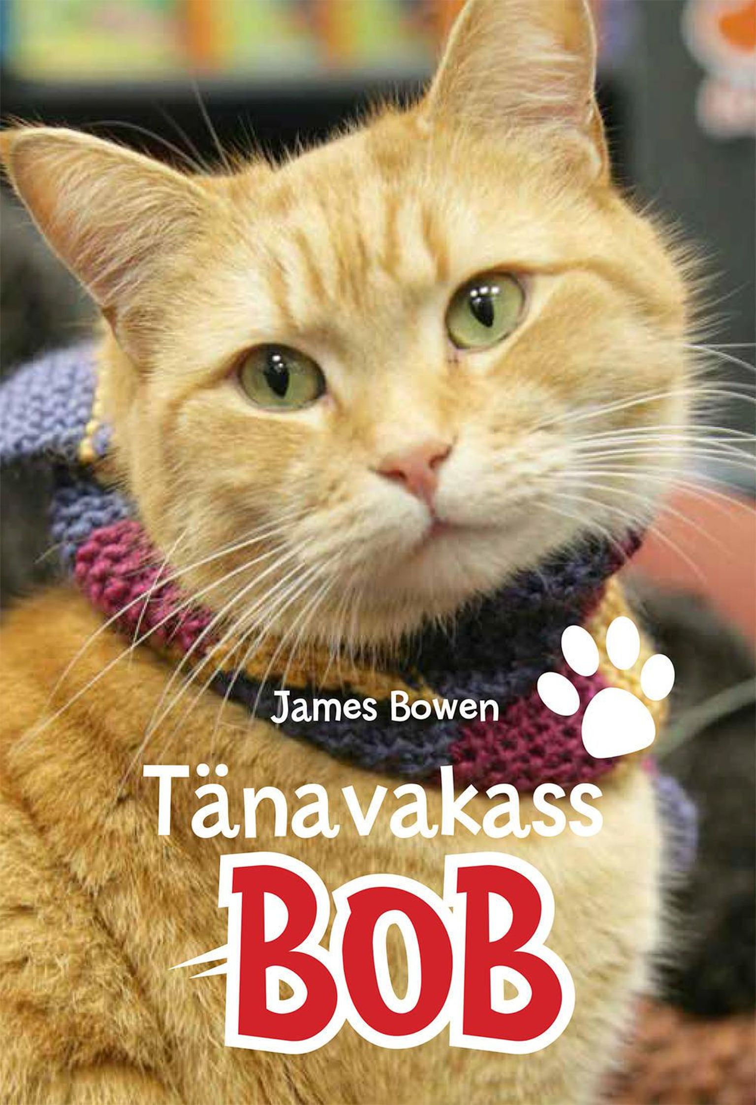 James Bowen "Tänavakass Bob"