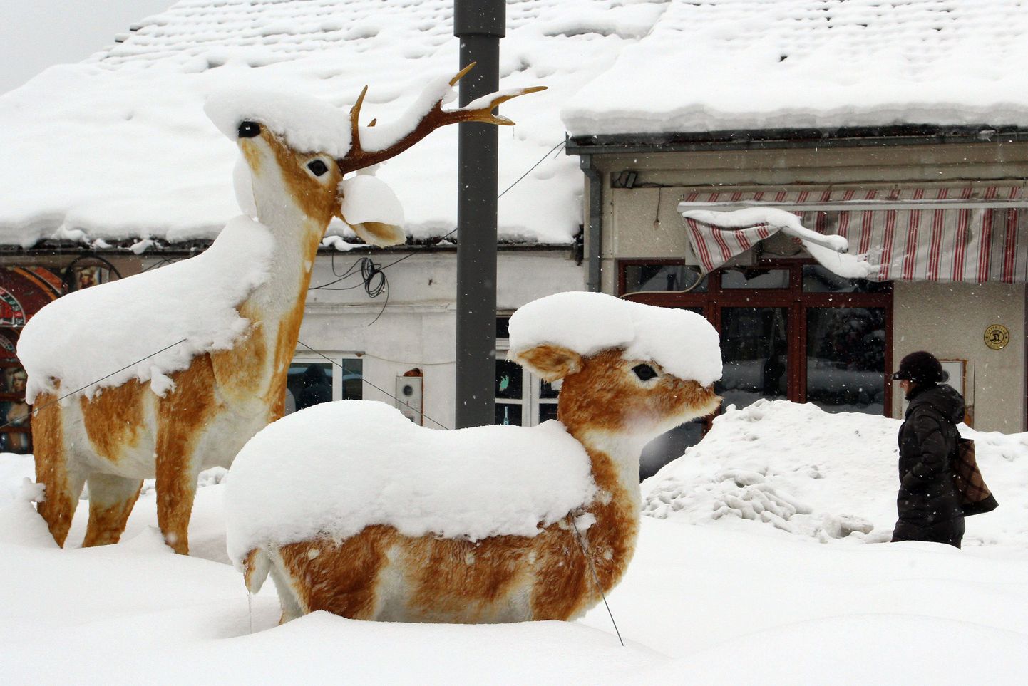 Lumega kaetud hirveskulptuurid Surdulica linnas Serbias.