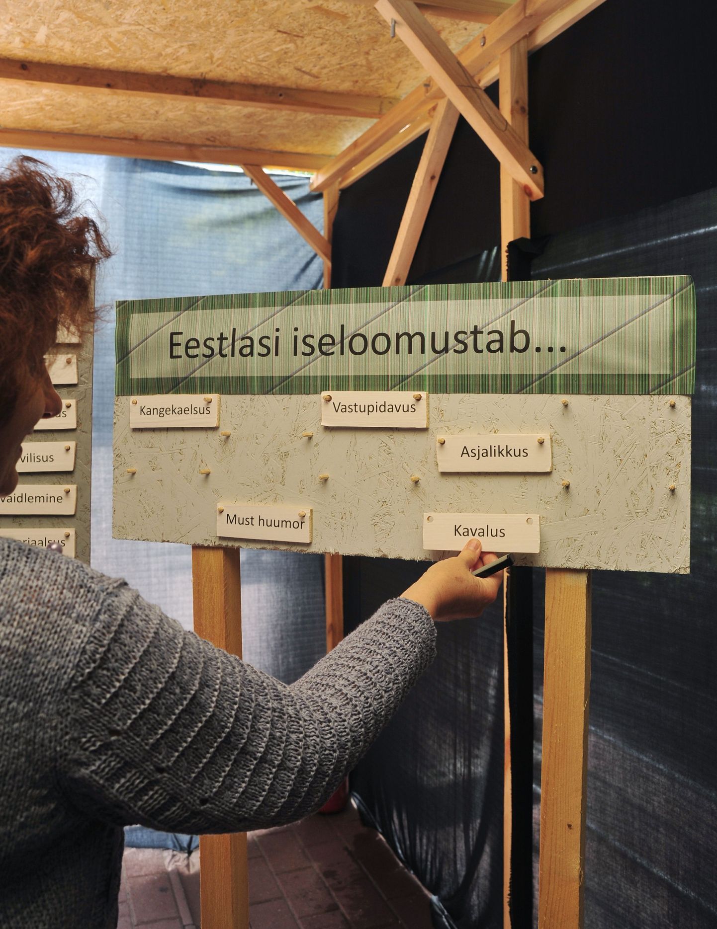 Pildil on Eesti Rahva Muuseumi suvenäitus.