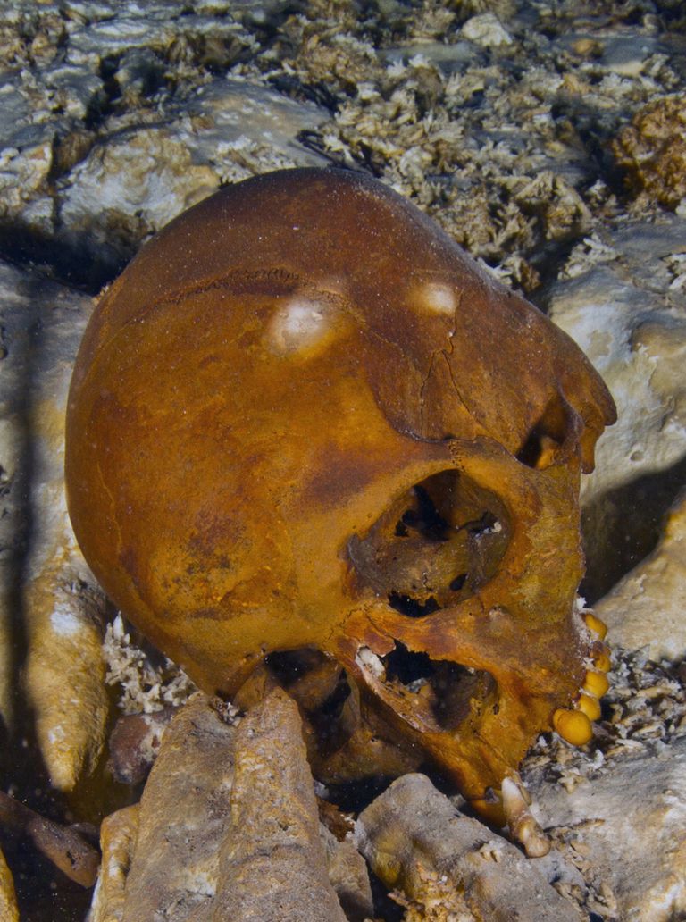 Mehhikost Hoyo Negro koopast leitud 15 - 16-aastase naise kolju