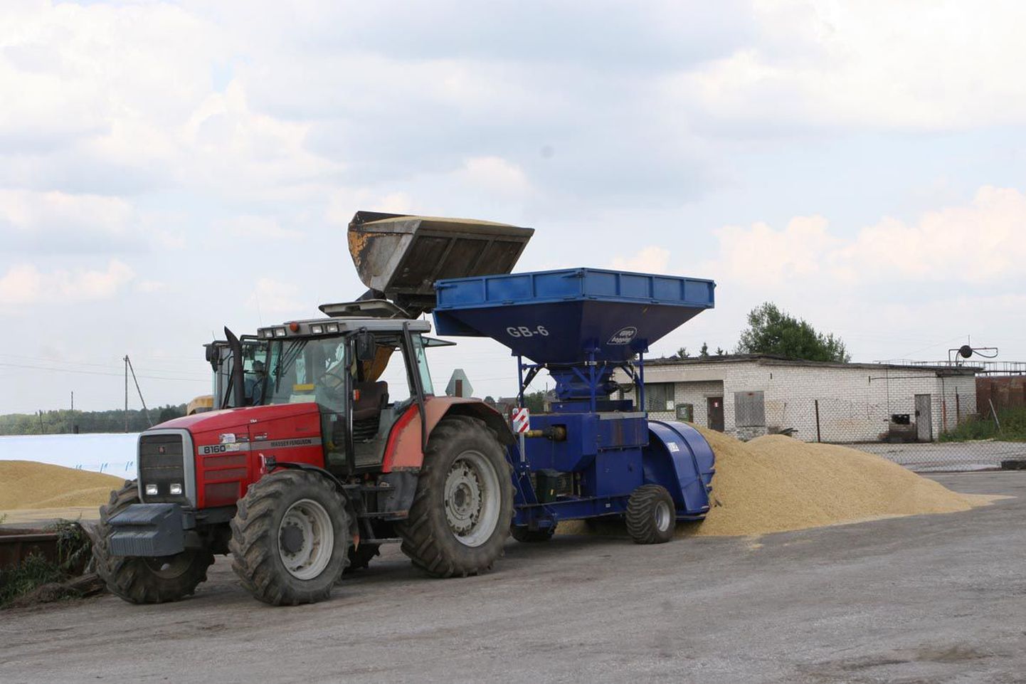 Osaühing Estonia alustas viljakoristusega juba kaheksa päeva tagasi, 2000 tonni vilja plaanib ettevõte kiletunnelis konserveerida, enne seda käib vili muljumismasinast läbi.