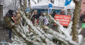 VIDEO JA FOTOD TOOMPEALT: Protestiaktsioon pani Eesti metsa kaitsjad parlamendi ees tantsu lööma