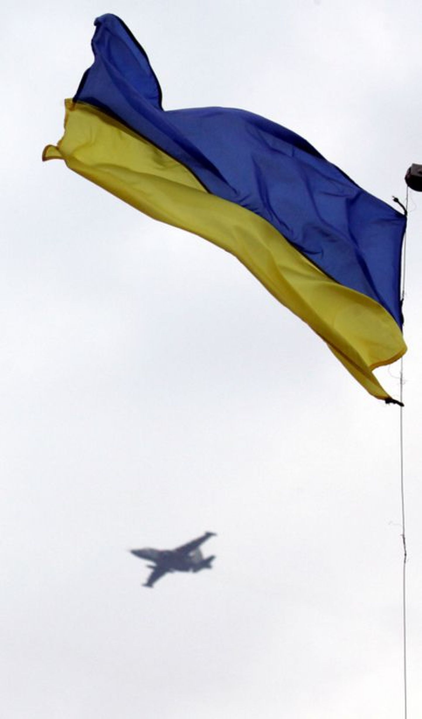 Ukraina lipp..