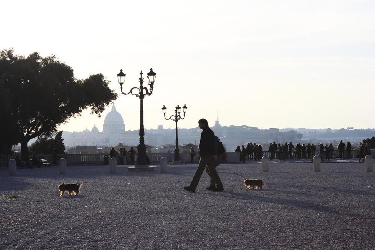Piazza del Popolo väljaku kõrval asuvalt terrassilt avaneb Roomale kordumatu vaade. Pilvedesse puhkama heitev Vahemere päike venitab varjud pikaks ning annab taamal paistvale Vatikani Püha Peetri kirikule ebamaise kuma ja muudab tavalised kutsad mõneks hetkeks muinasjutuliselt helendavateks päikesekoerteks. Terrassilt paistab enamik linna sadadest vaatamisväärsustest nagu peo peal.