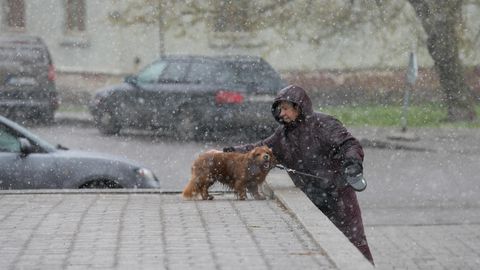 Фото: rus.postimees.ee