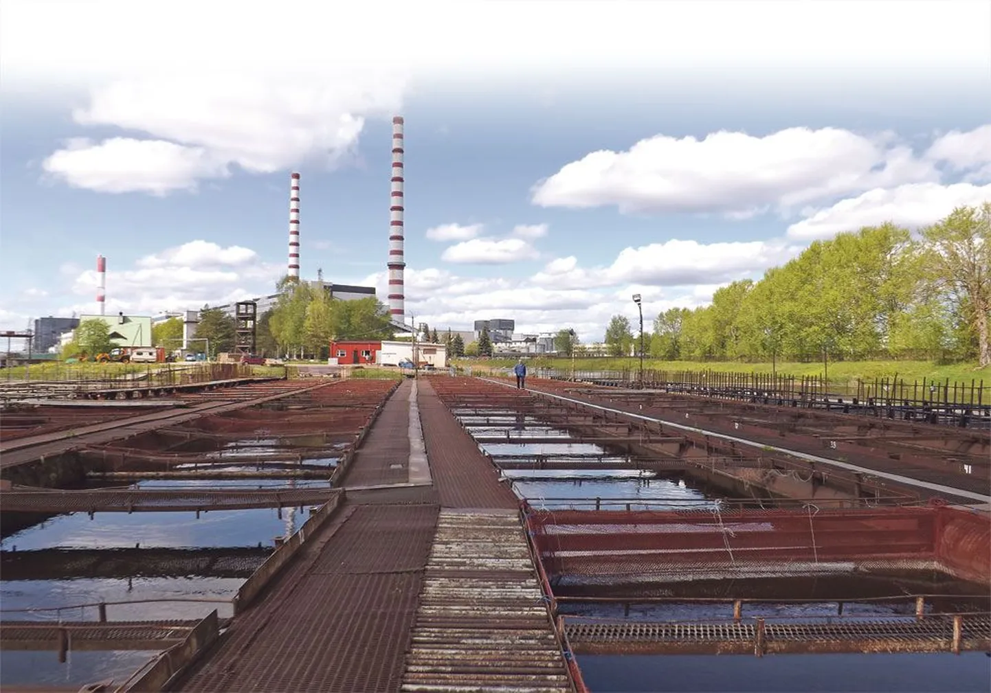 Рыбоводческое хозяйство Яака Вызу находится на теплом канале Эстонской электростанции.