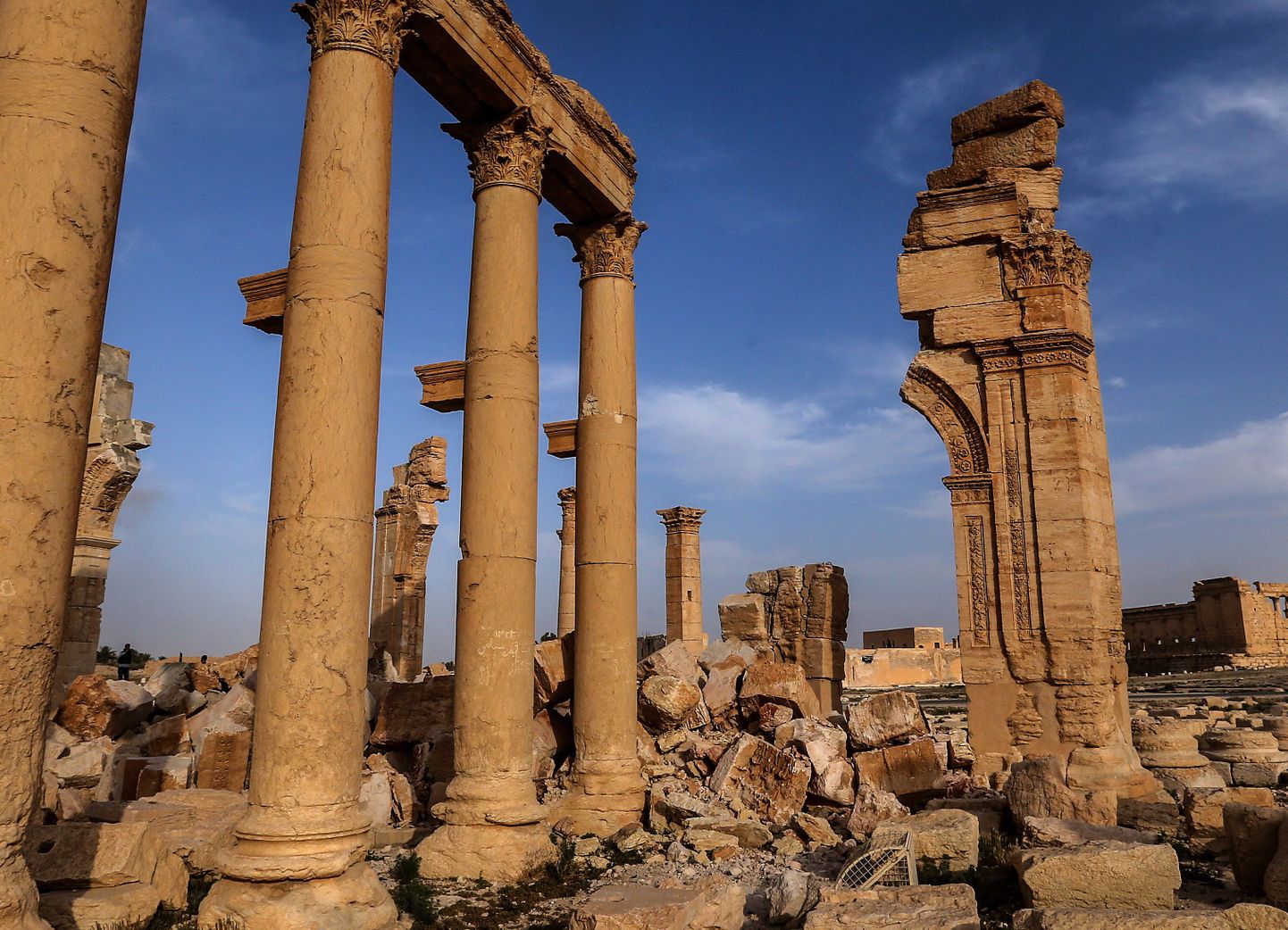 Россия в рамках международной кампании ЮНЕСКО займется восстановлением памятников Пальмиры. Фото иллюстративное.