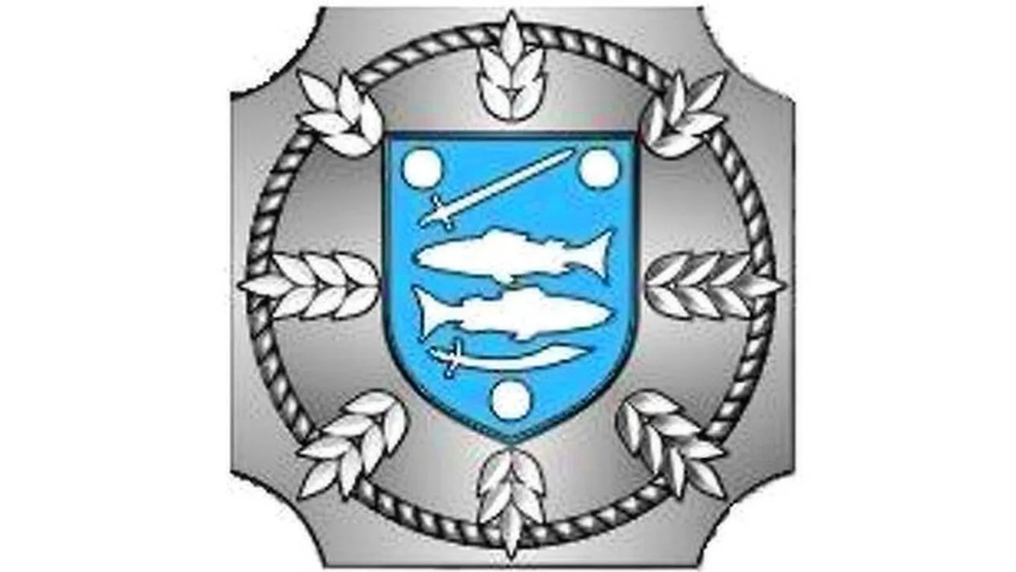 Знак "За заслуги перед городом Нарва" - это маленький (29,3х29,3 мм) значок из серебра 925-й пробы. Рисунок герба Нарвы выполнен с использованием эмали синего цвета.