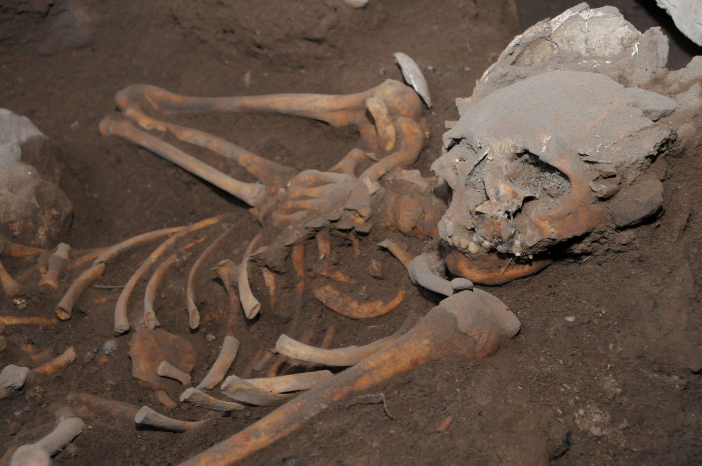 Arheoloogid avastasid kiviajal elanud homo jäänused
