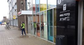 Tartus meest peksnud noored viibivad esialgu vabaduses