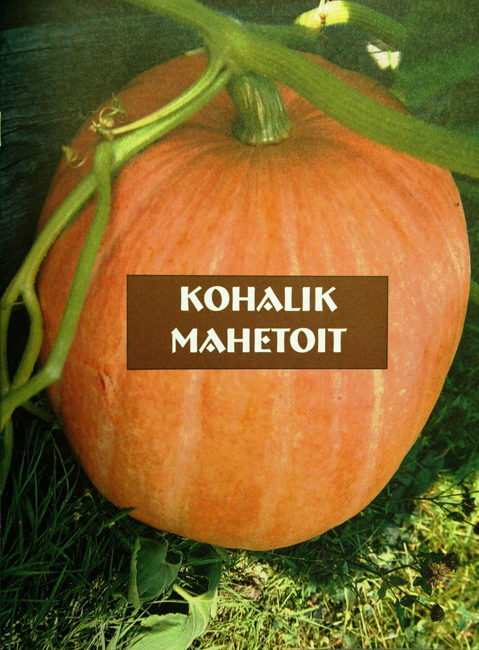Ökoloogiliselt puhta toidu tootmine ja tarbimine on üha kasvav trend. Mahetoidu kasvatamisest on ilmunud ka erinevaid trükiseid.