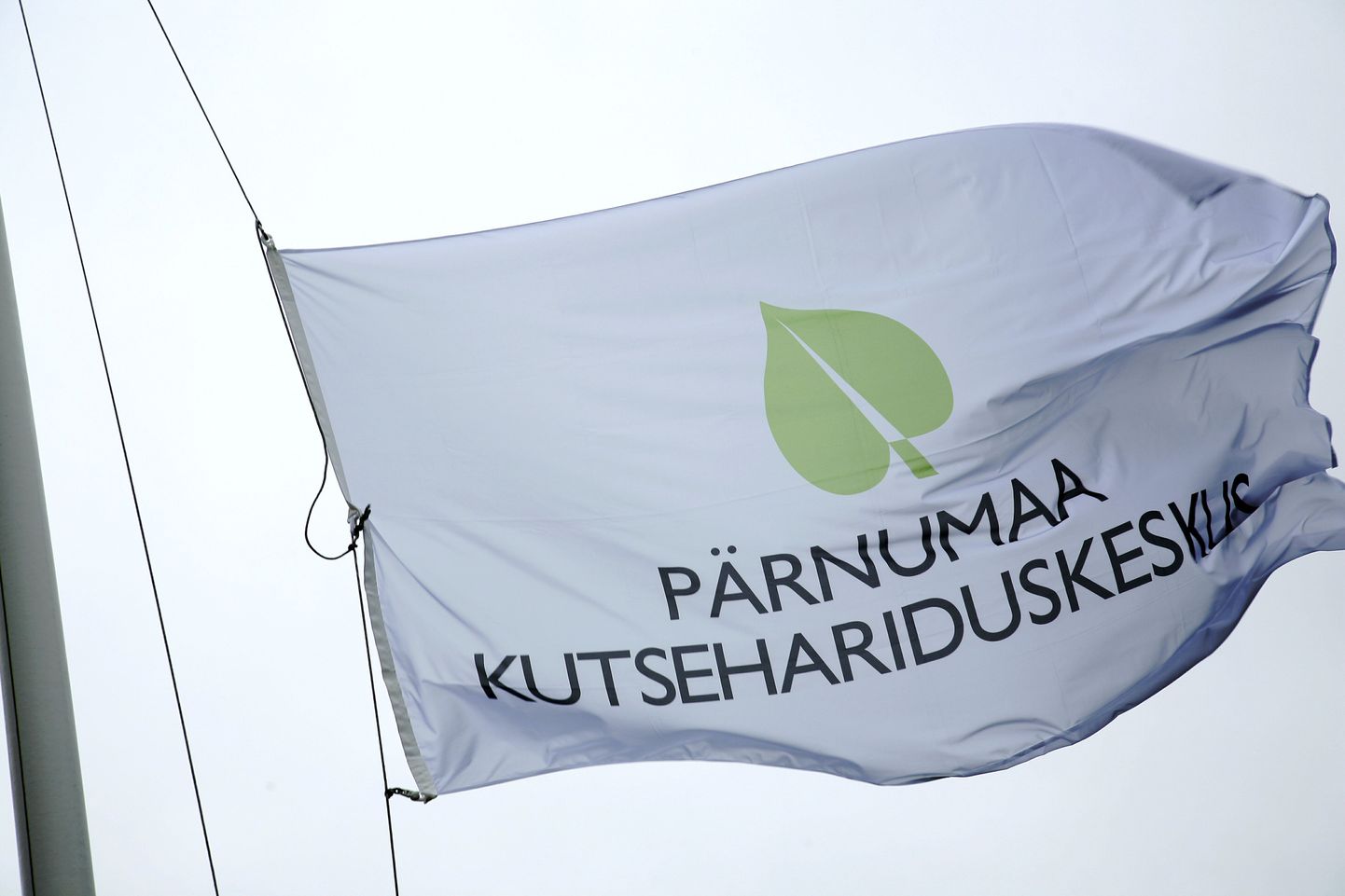 Pärnumaa kutsehariduskeskuse lipp.