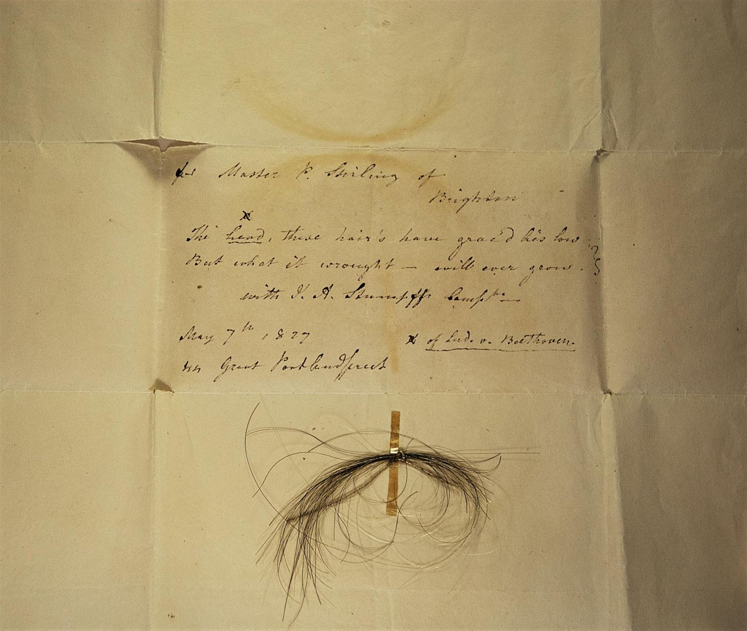 Salk, millest sekveneeriti Beethoveni genoom, on kinnitatud kirjale, mille Johann Andreas Stumpff on adresseerinud Patrick Stirlingile pärast Beethoveni surma 7. mail 1827. aastal.
Ingliskeelsed riimid «The head, these hair’s have grac’d lies low. But what it wrought — will ever grow» kõlaksid vabas tõlkes umbes «Pea, mida need juuksed on kaunistanud, asub küll madalal, kuid see, mida see (pea) on sepistanud, kasvab igavesti edasi...»