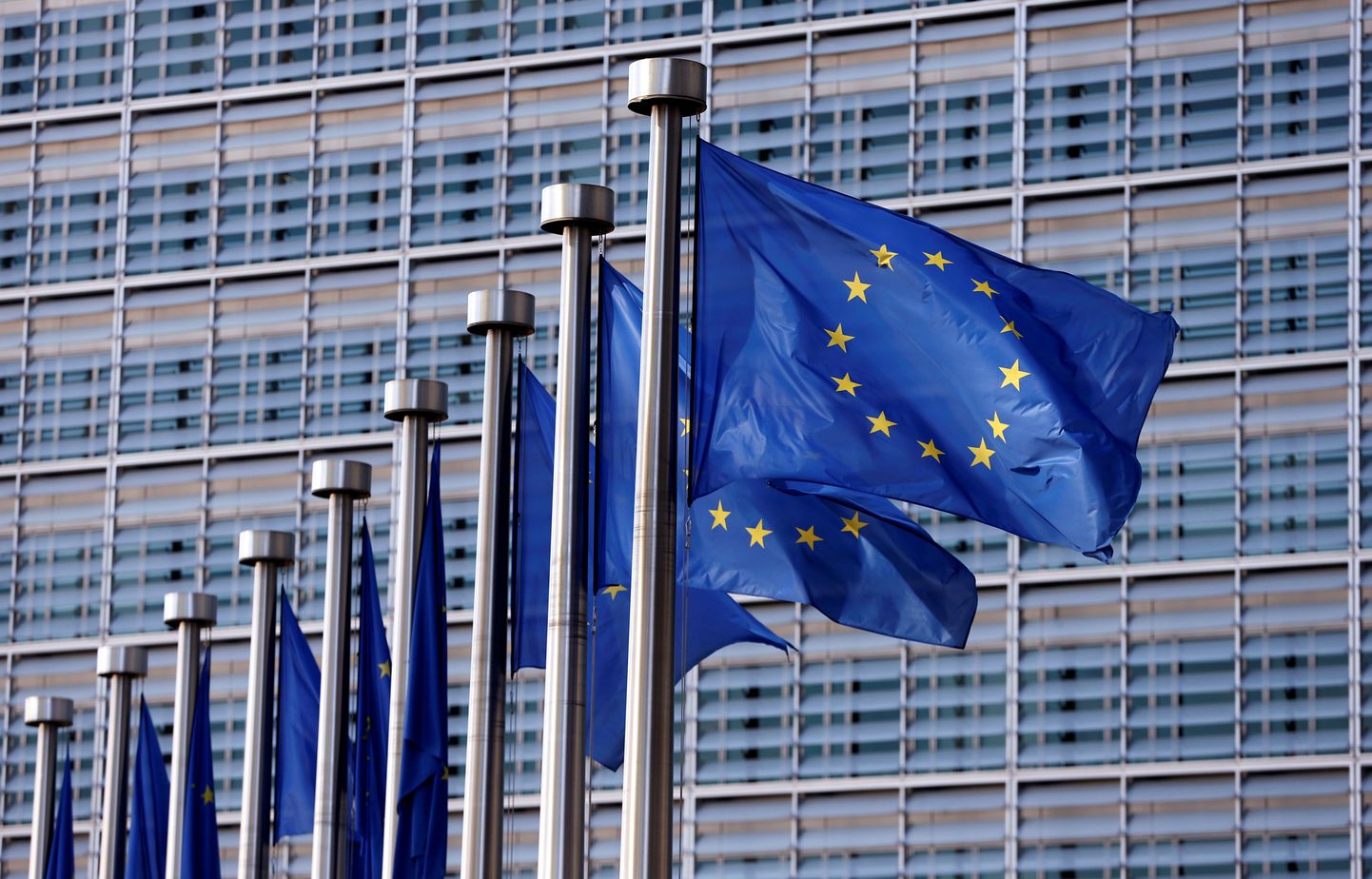 Euroopa Liidu lipud Brüsselis.